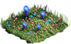 Blauw amaryllis-veld